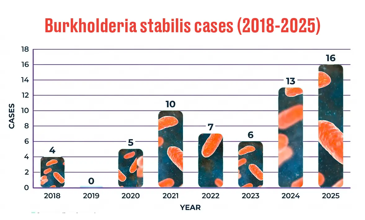 Burkholderia stabilis ST480 cases in the ongoing outbreak (LADbible)