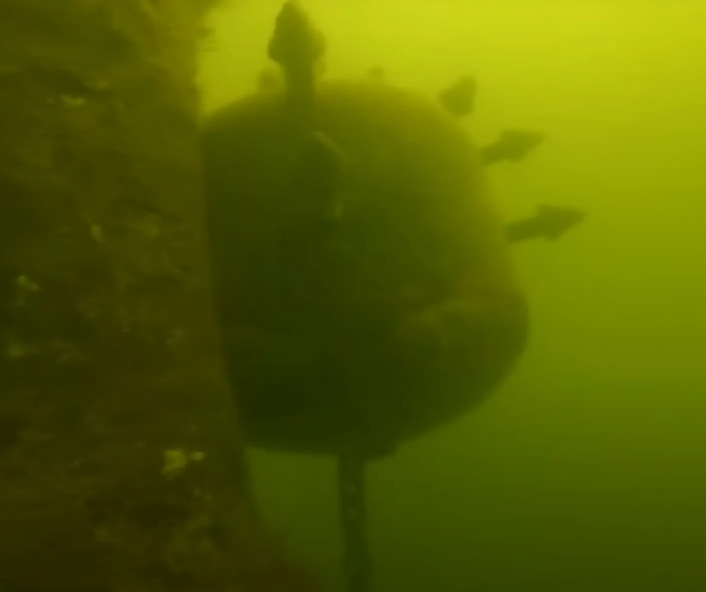 Yeah, you should probably tell somebody you found that. (YouTube/Dusty Sands)