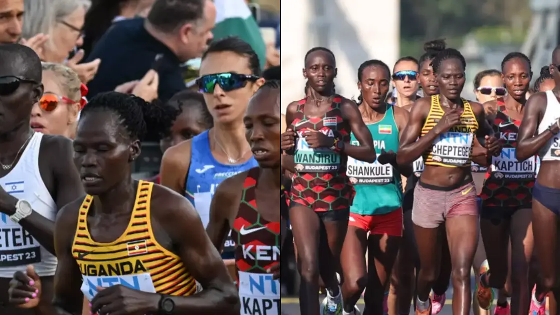 AFP via Getty Images / Jiang Qiming/China News Service/VCG via Getty Images