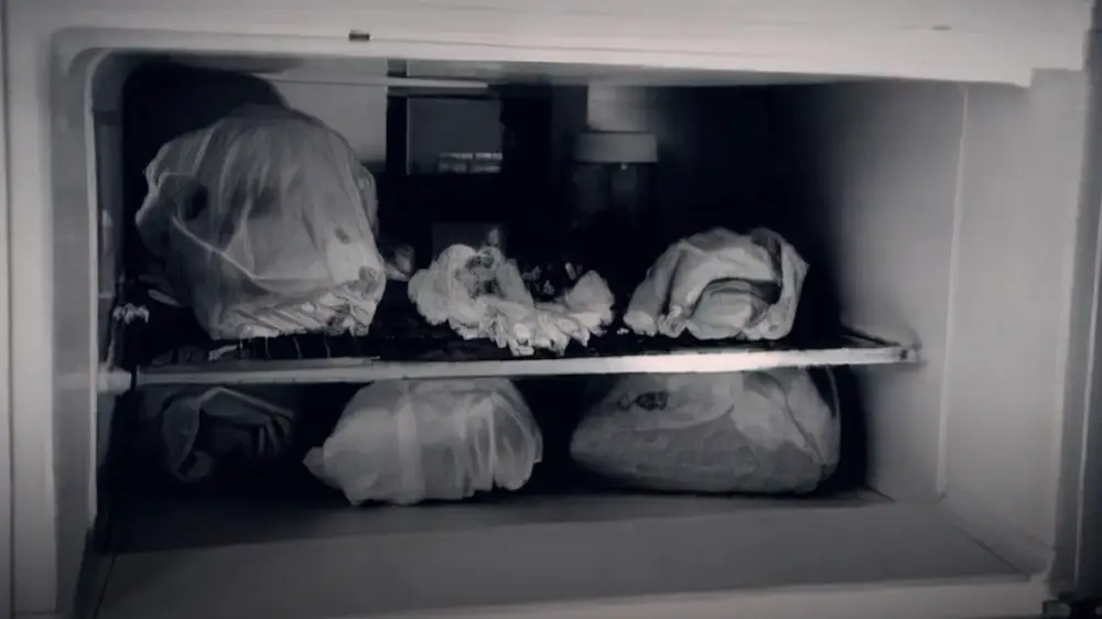 Officers found human parts in the freezer.