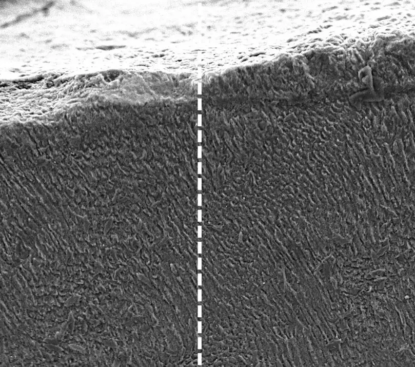 The left side shows the surface of a tooth before the keratin treatment, while the right shows after (King's College London)