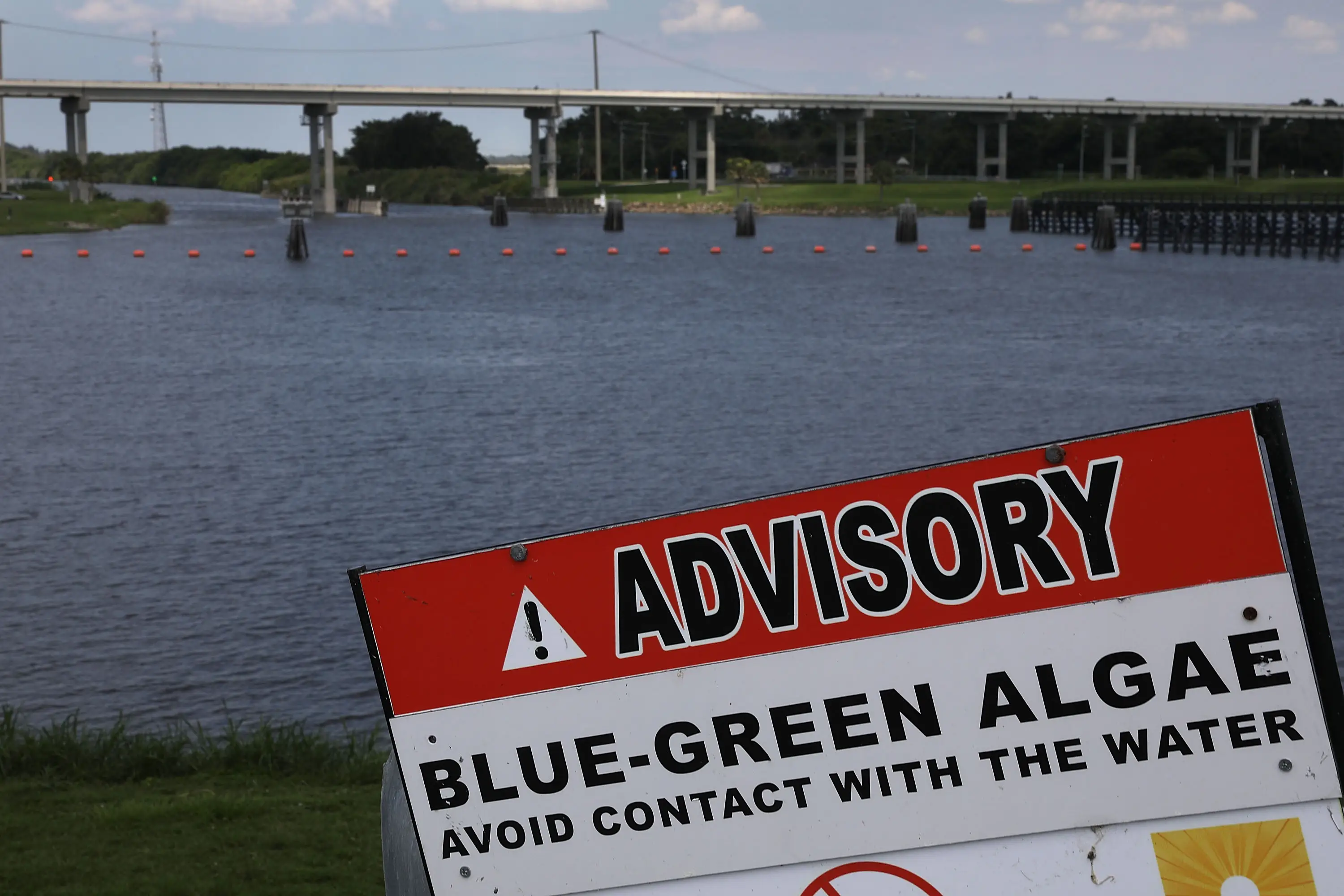 A sign put up to warn people about blue-green algae in the water (Joe Raedle/Getty Images)