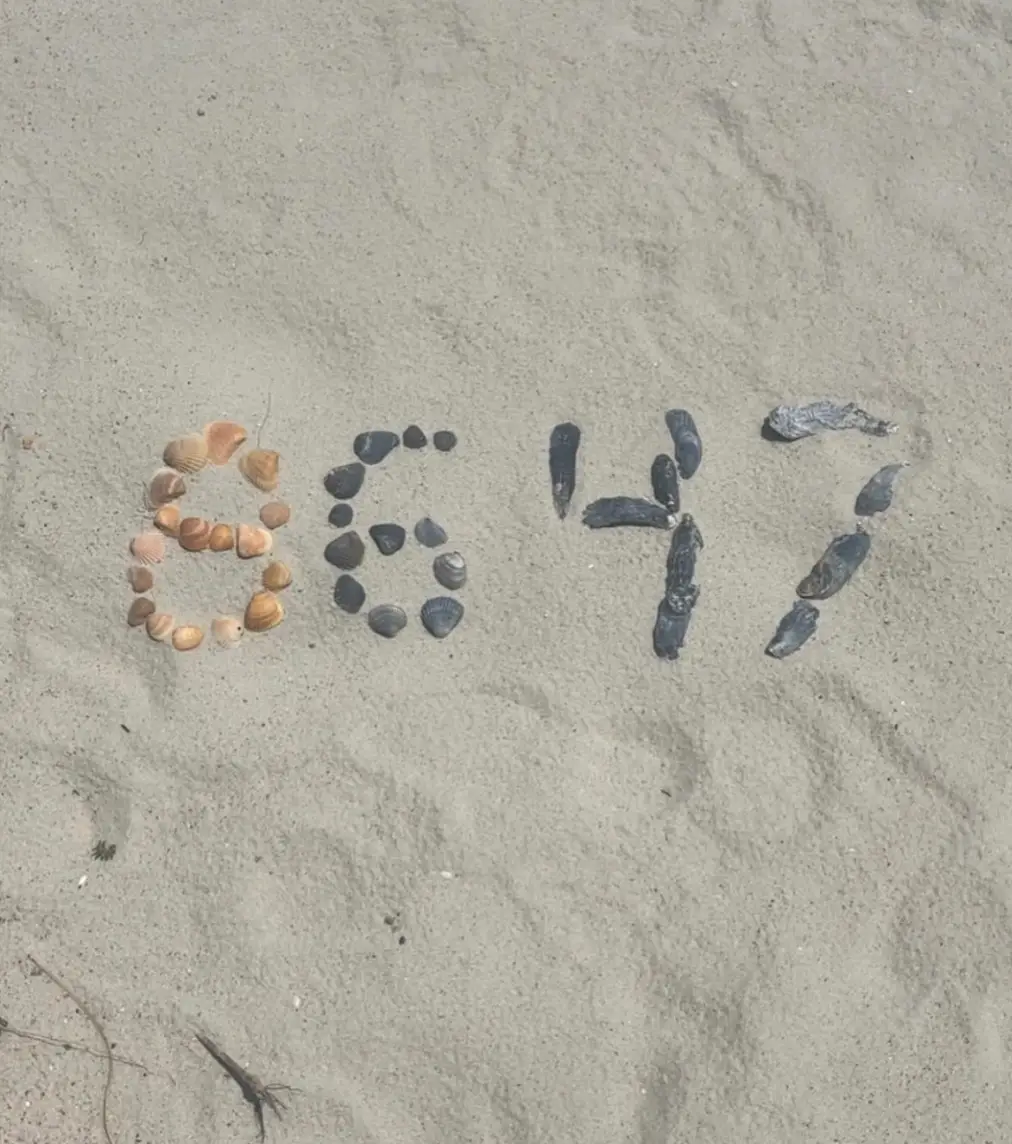 The post in question (Instagram/@comey)