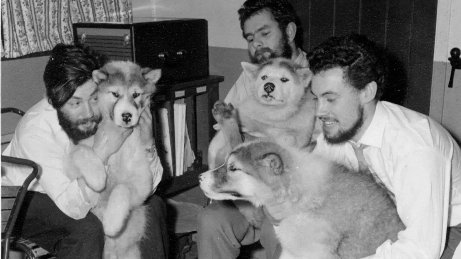 British Antarctic Survey