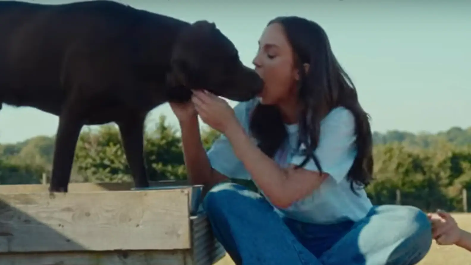 YouTube/Butternut Box