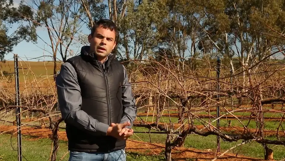 Ben Mitchell was a vineyard manager at Taylors Wines.