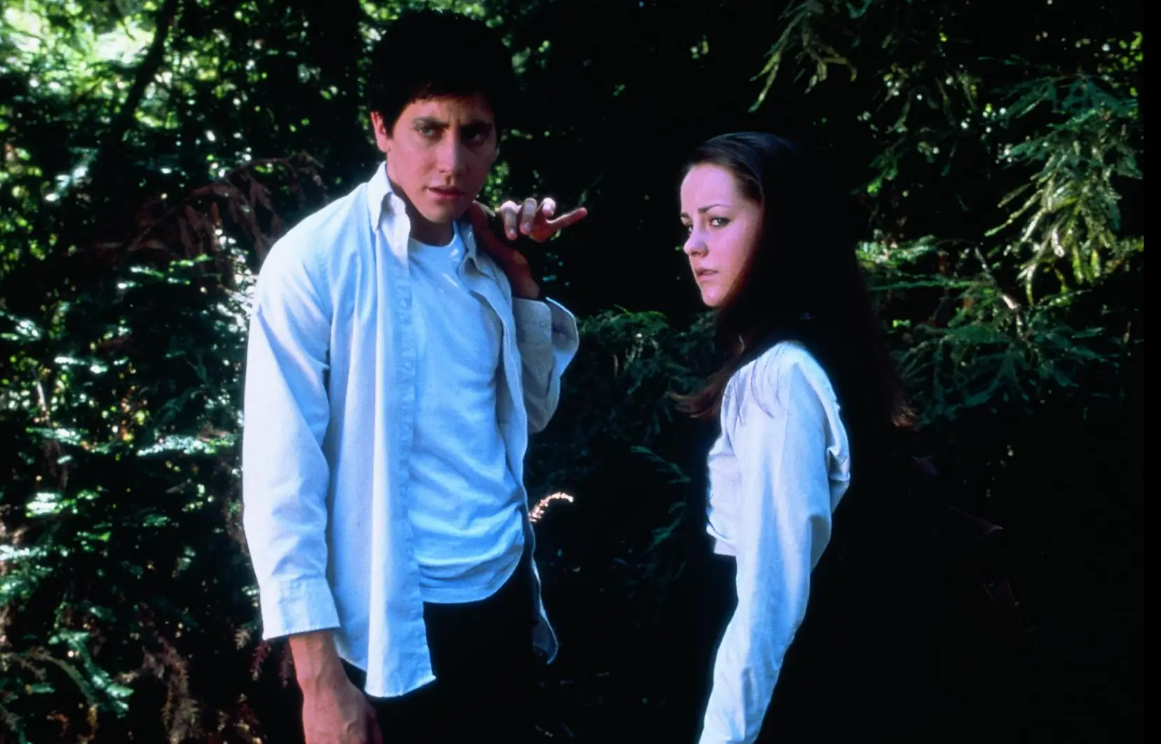 25 years later and Donnie Darko remains a cult favourite (Newmarket Films)