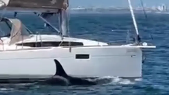 Instagram/oceaniclounge