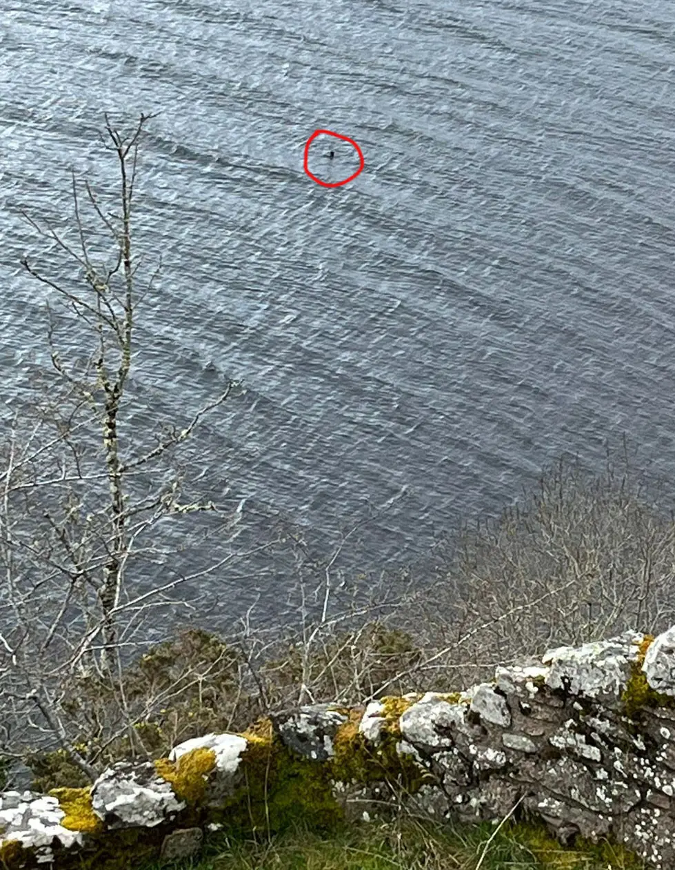 He's now convinced something's in there. (Northpix)