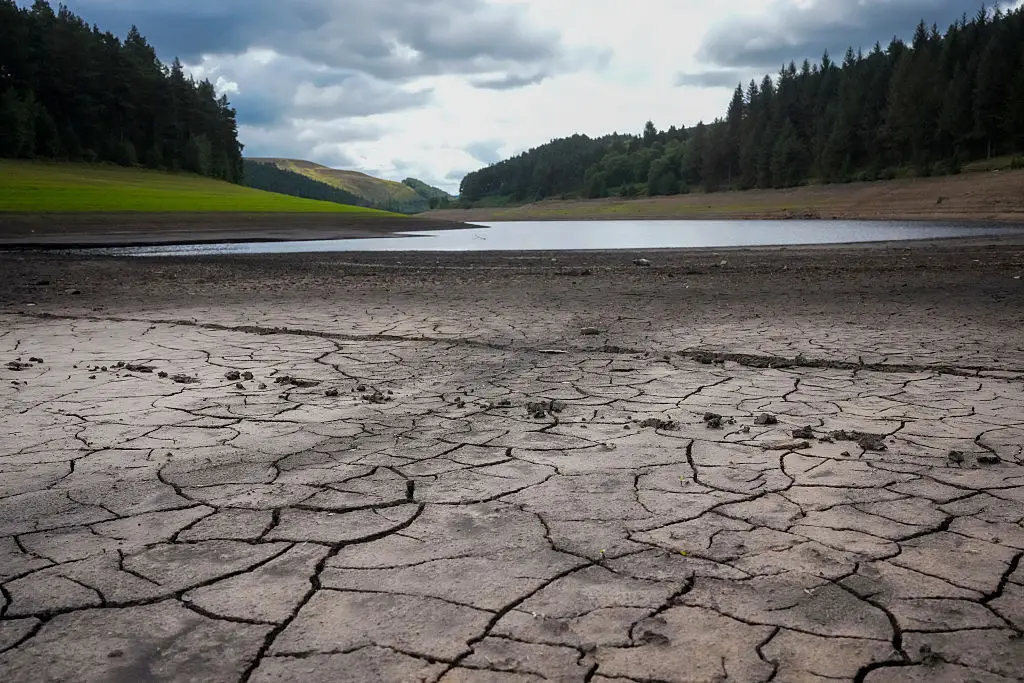 The droughts we saw in the UK are likely to be small compared to the ones we will see in the Southern hemisphere (Christopher Furlong/Getty Images)
