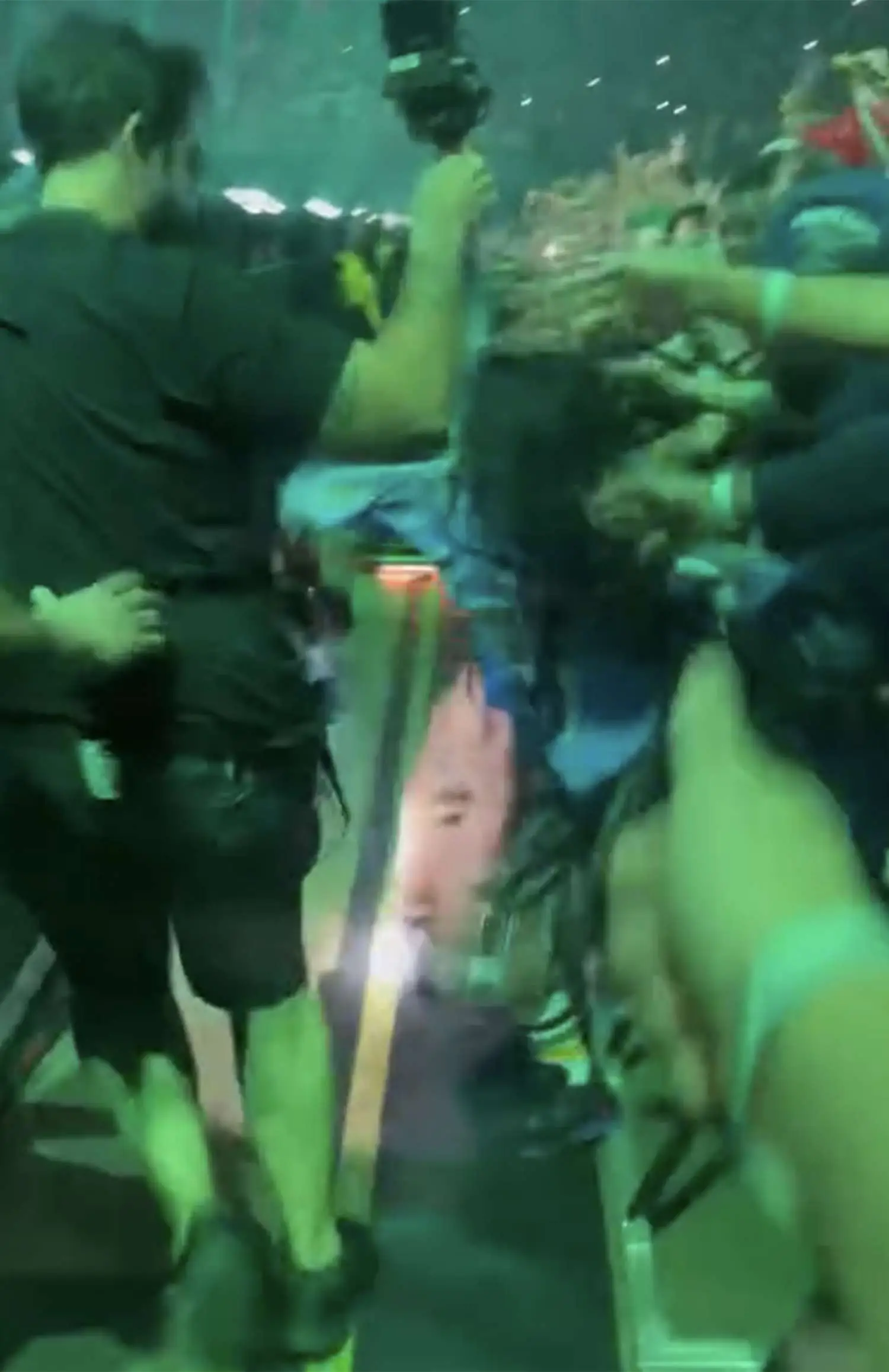 Footage shows Billie Eilish being pulled into the crowd during her 9 October Miami show (Instagram/@drew_wintjen)