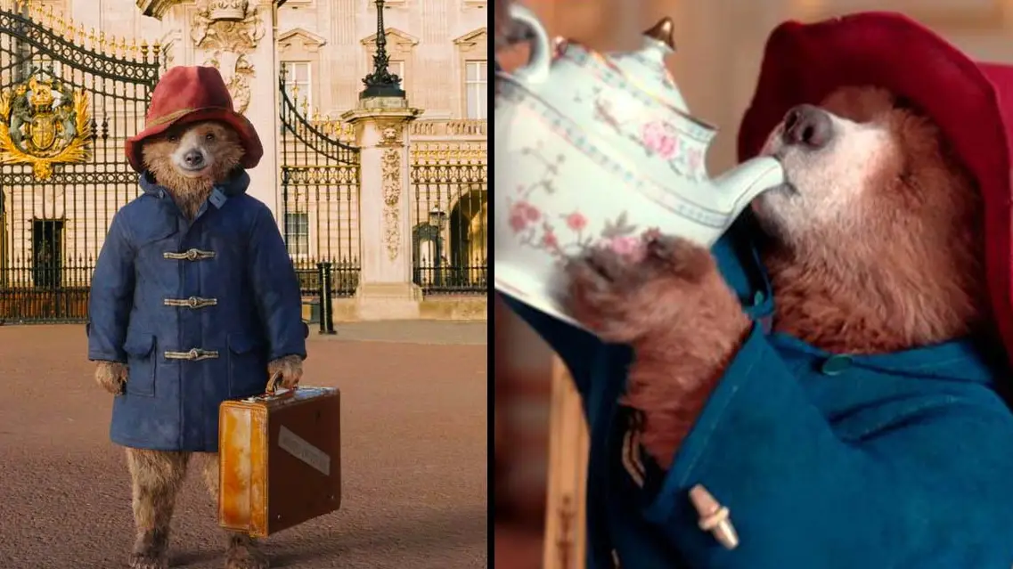 Confusion Over Paddington Bear’s Accent Explained