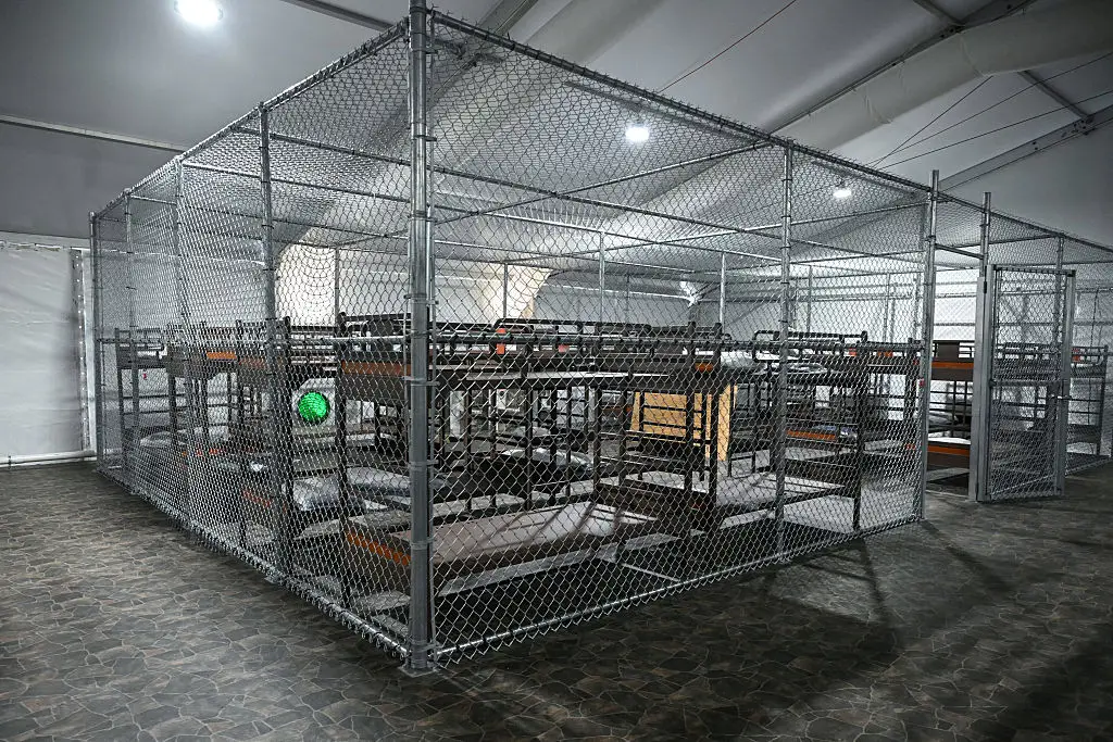 Beds inside cages inside tents in the middle of an alligator-infested swamp (ANDREW CABALLERO-REYNOLDS/AFP via Getty Images)