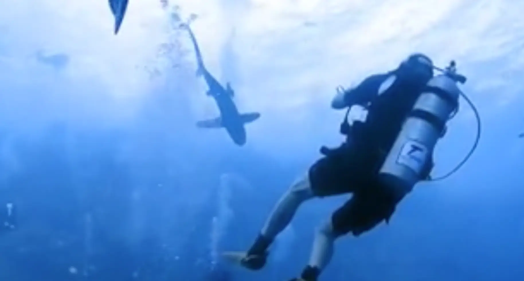 It made its way over after being freaked out by bubbles. (YouTube/scubasoul)