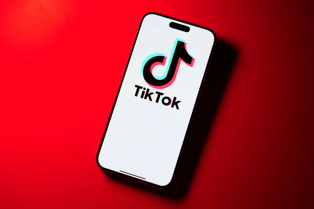 Tiktok isn't going anywhere for us. ( Jaap Arriens/NurPhoto via Getty Images)