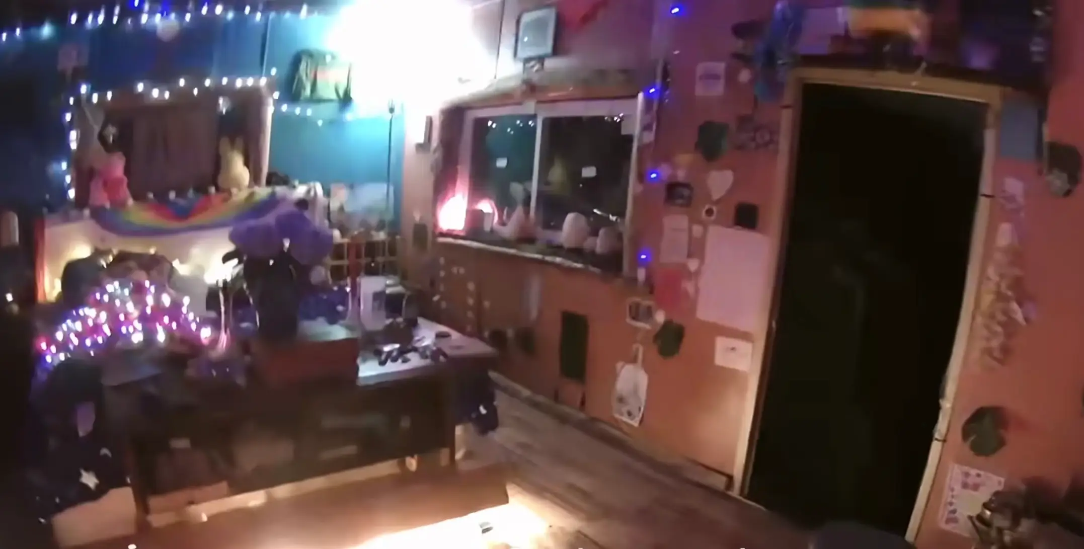 Her mummified body was eventually found in a sleeping bag wrapped in Christmas lights by police (HBO)