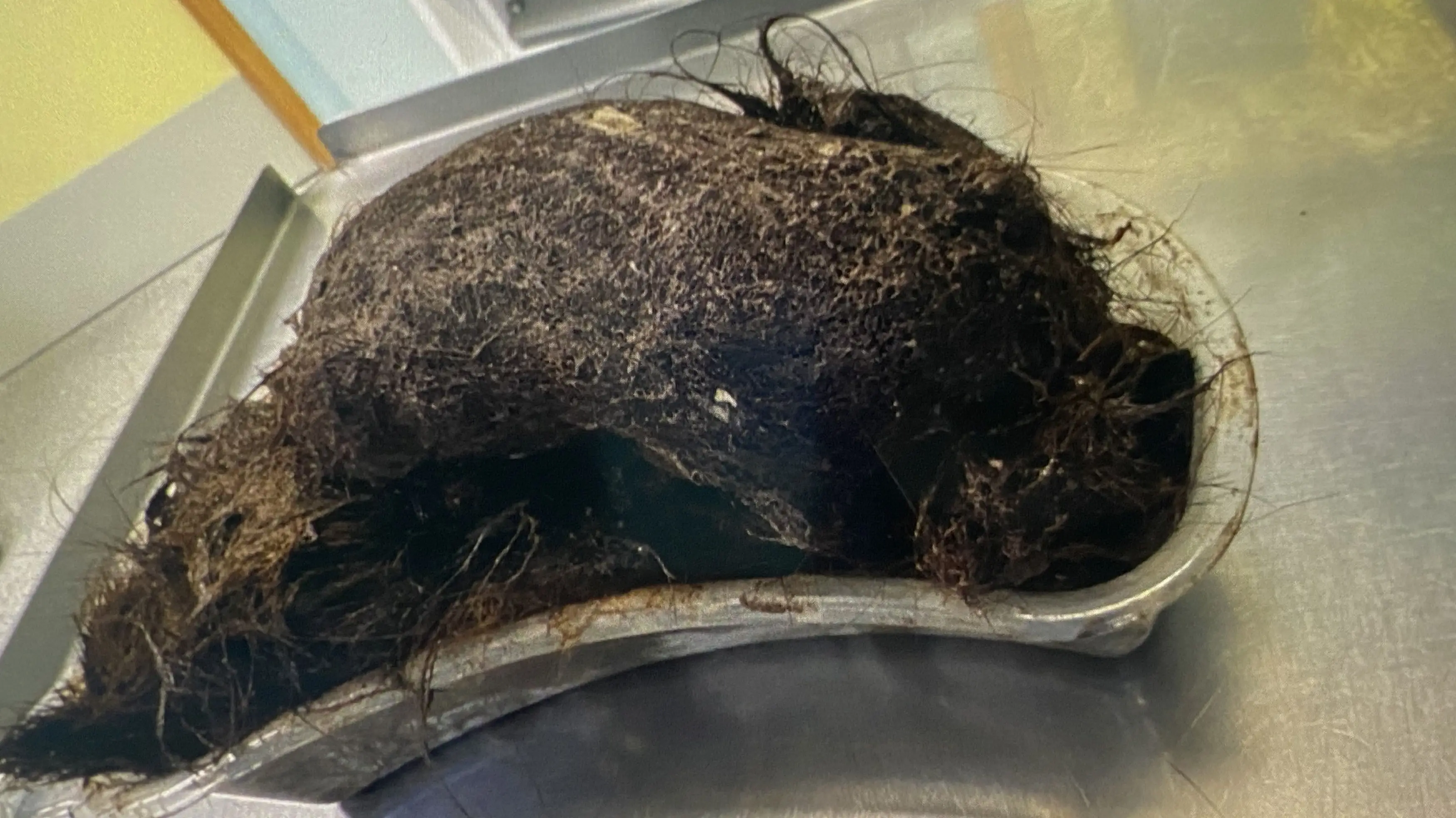 Kennedy News and Media