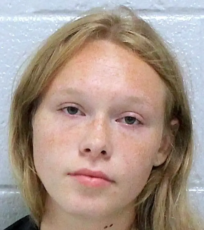 The 17-year-old has been charged with two counts of murder (Facebook/Carroll County Sheriff's Office)