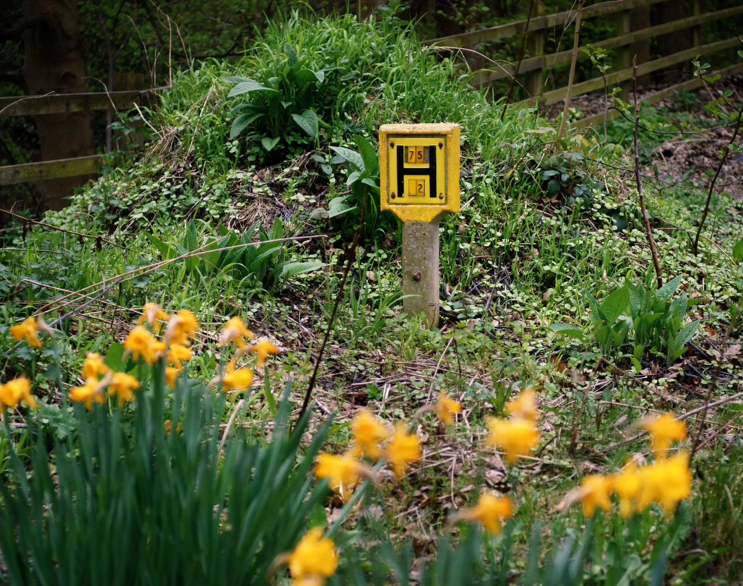 You've probably seen these signs all over (Getty Stock Photo)