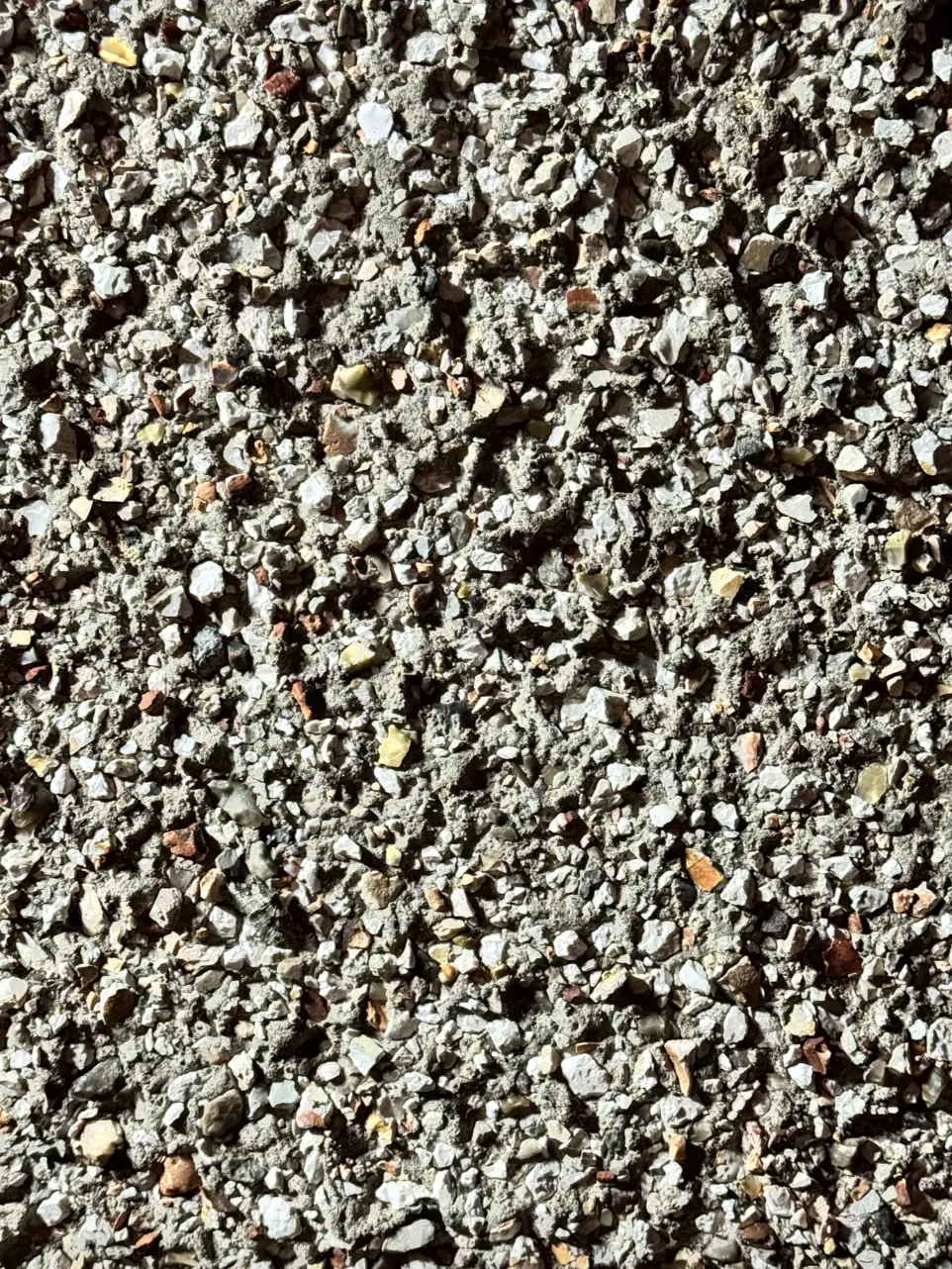 People are struggling to find the moth hidden in this image (Reddit)