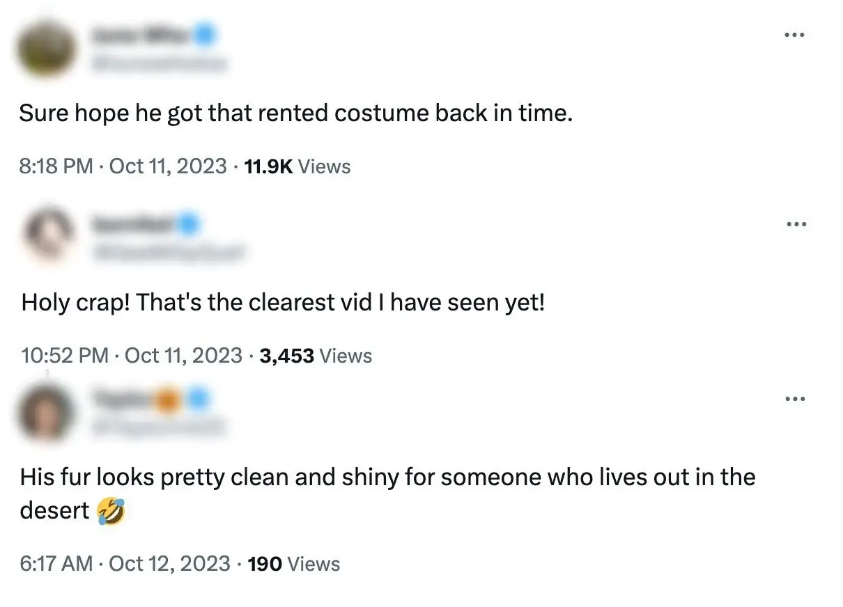 Reaction to the Bigfoot sighting was pretty mixed but that's got to be him, right?