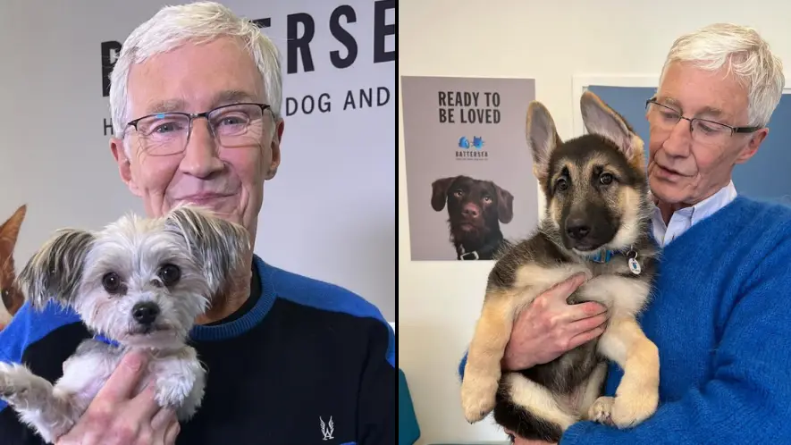 paulogrady/Instagram
