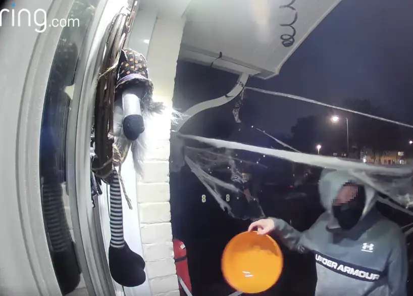 The two boys both donated sweets to the bowl before wishing Jodie a 'Happy Halloween'.