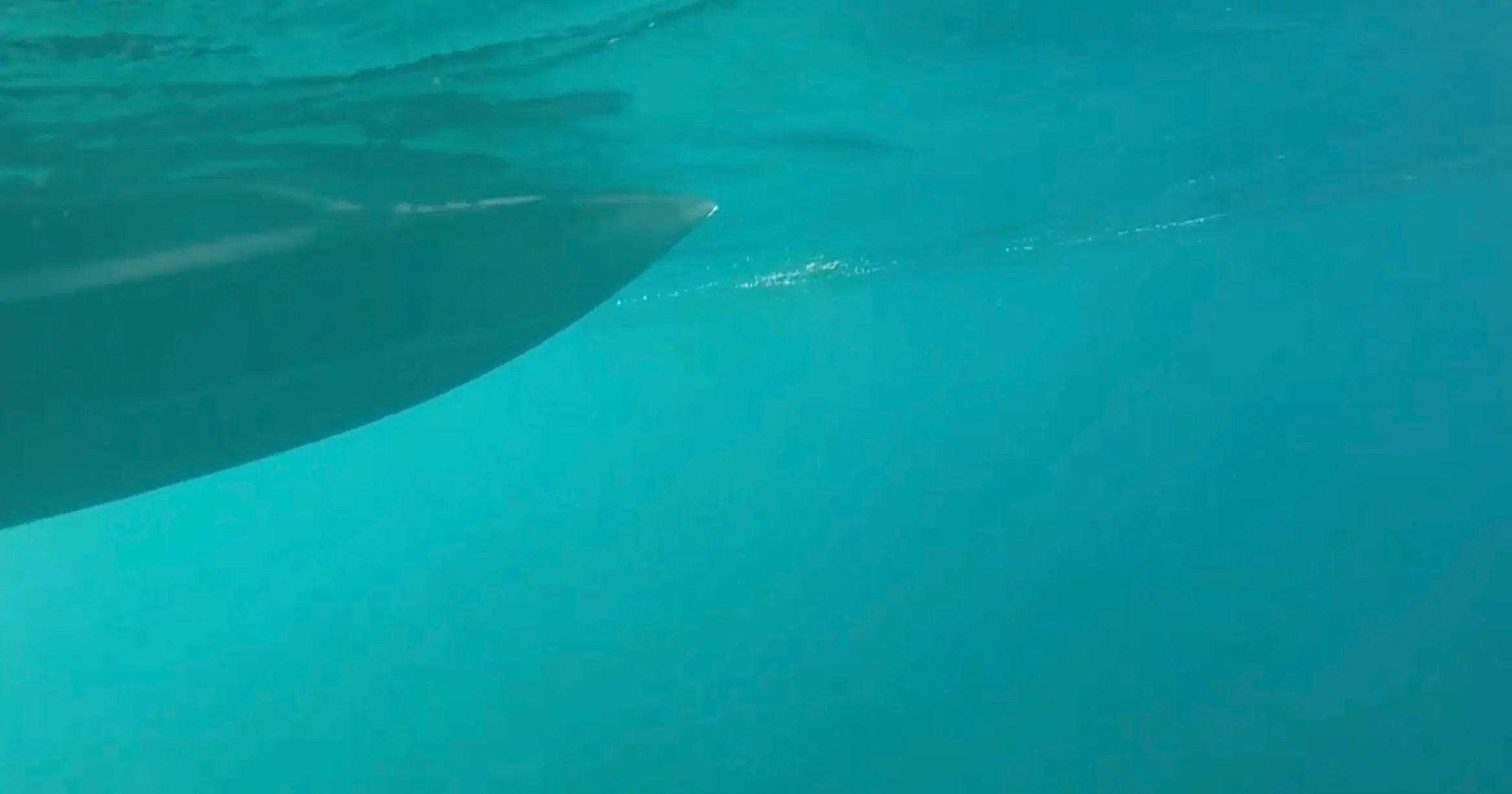 Alexis' camera captured some footage which has spooked social media users (YouTube/@alexis3030303030)