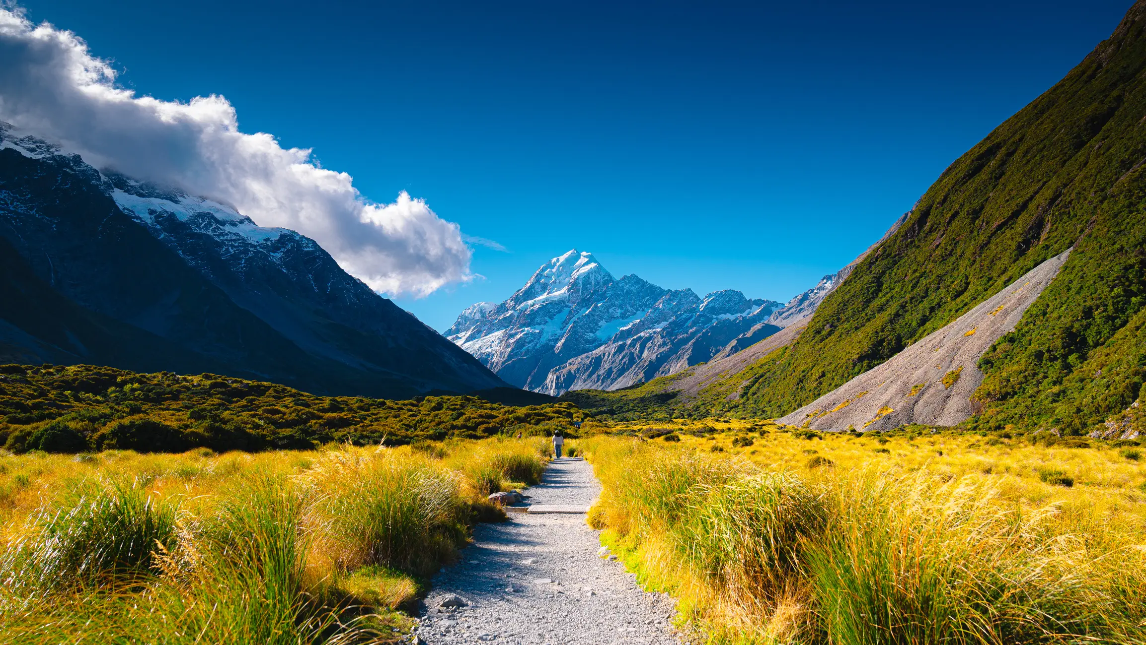 Yeah, that doesn't look too bad (Getty Stock)