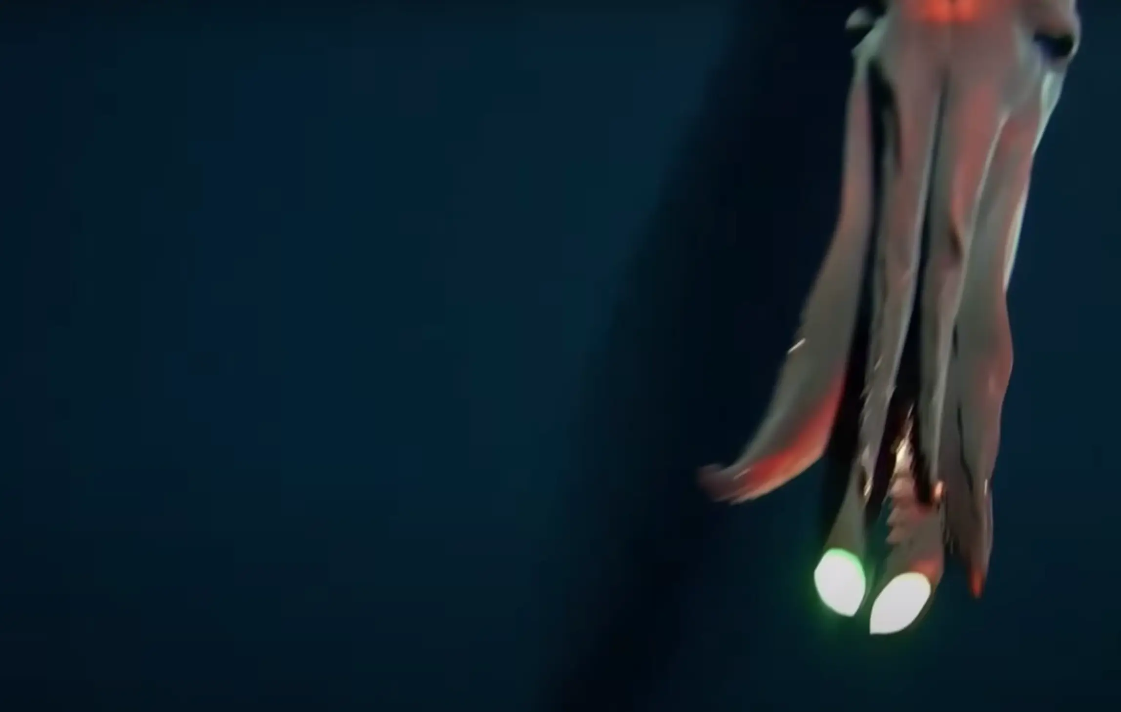 What would you do if you spotted this on a swim? (UWA/Inkfish)