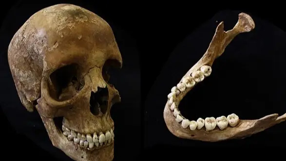 University of Leicester