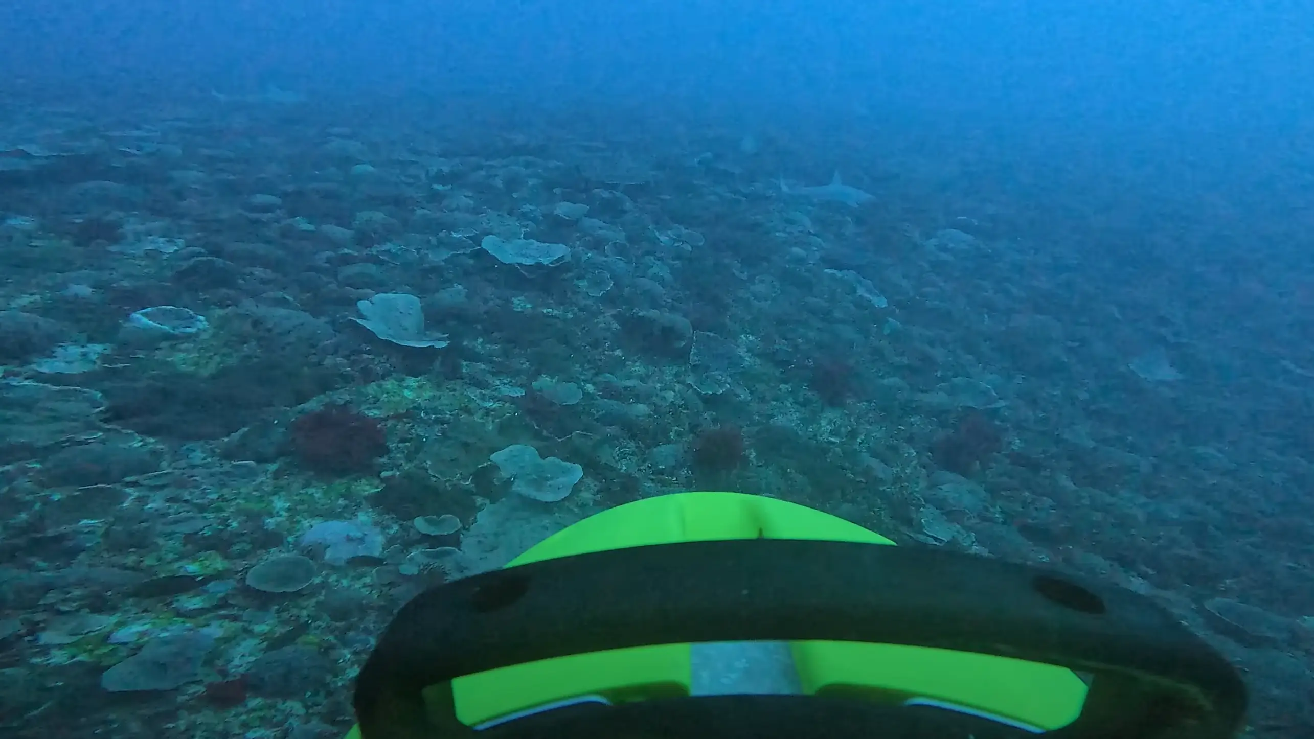 University of Sydney