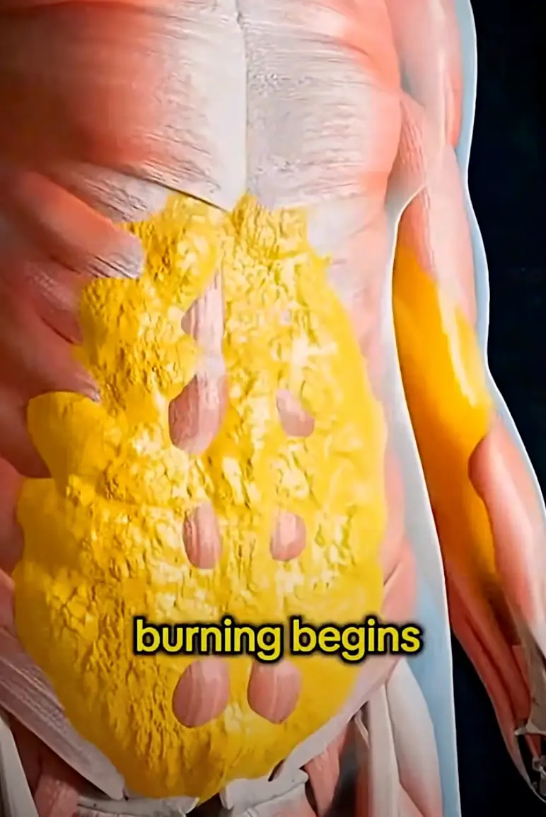 The body starts to burn fat for energy after 12 hours (YouTube/Wellness Wise)