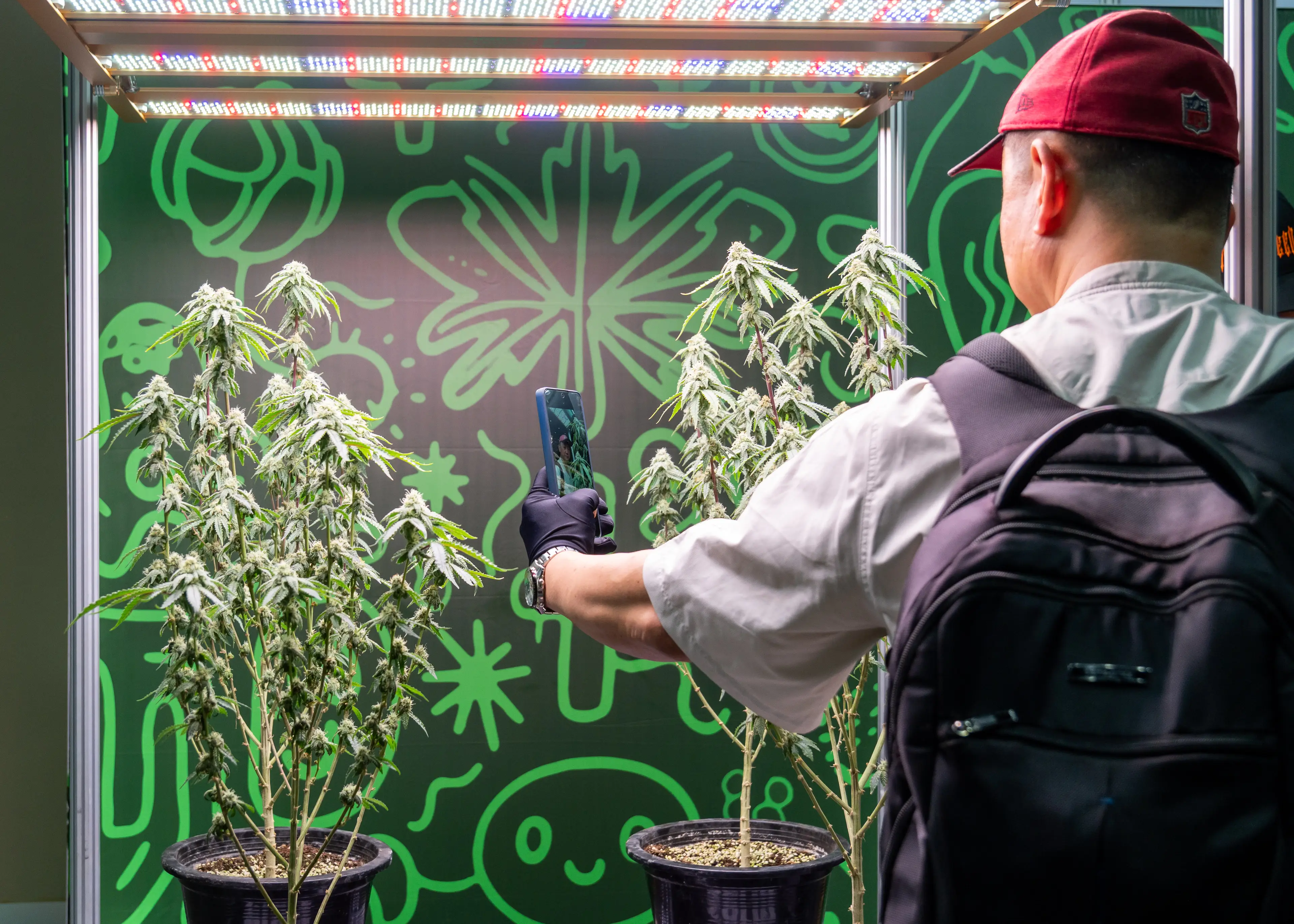 Thailand has tightened its regulations (Nathalie Jamois/SOPA Images/LightRocket via Getty Images)