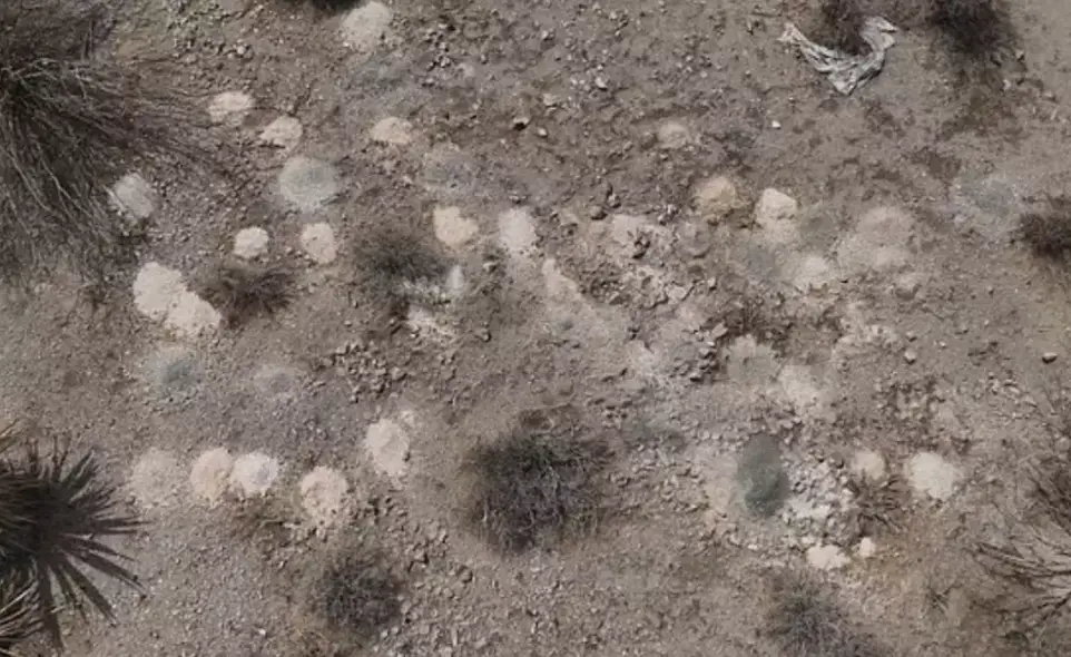 She is also considering that her son's remains may be in the piles of ashes found in rural Nevada earlier this year (KLAS)