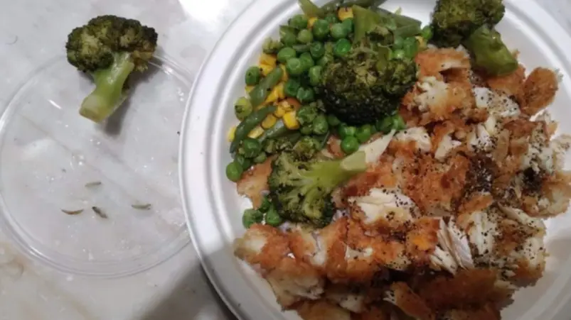 Asylum Seekers At Novak Djokovic Detention Hotel 'Served Maggots'