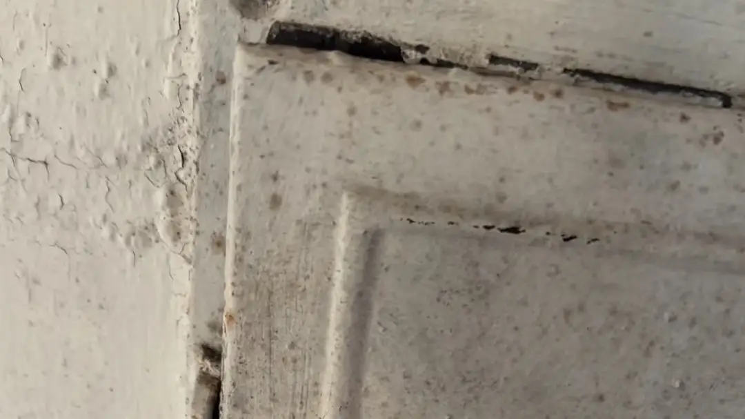 Instagram/sarabarielles