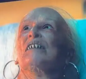 Viewers were left stunned by the line (Netflix)