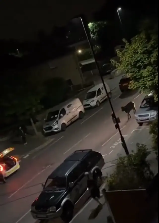 Many people have criticised the police for their actions (X/UB1UB2)