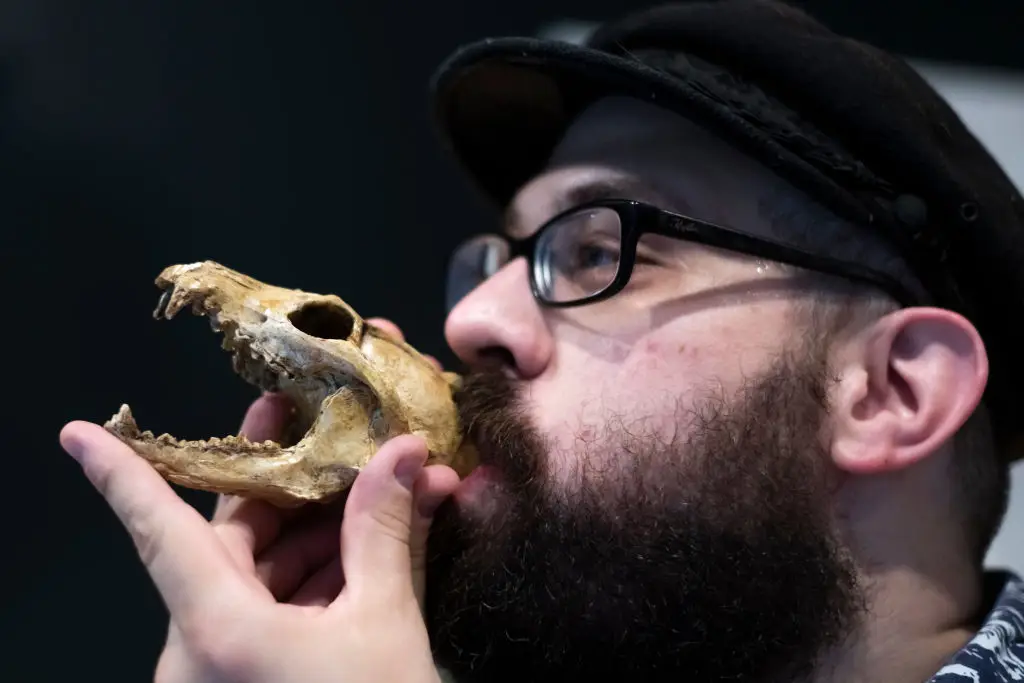 Researchers have blown recreations of the death whistles (Tanner Pearson/The Boston Globe via Getty Images)