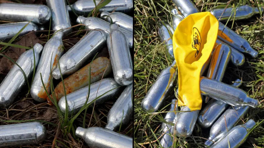 Julia Gavin / Alamy Stock Photo