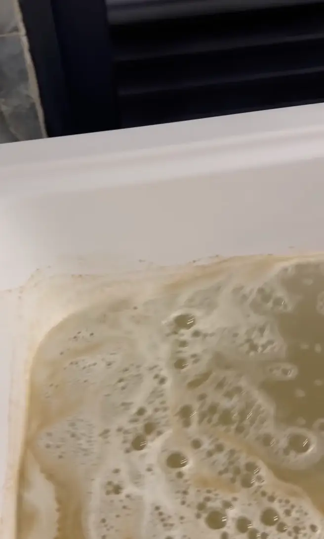 (Instagram/@johnlegend)