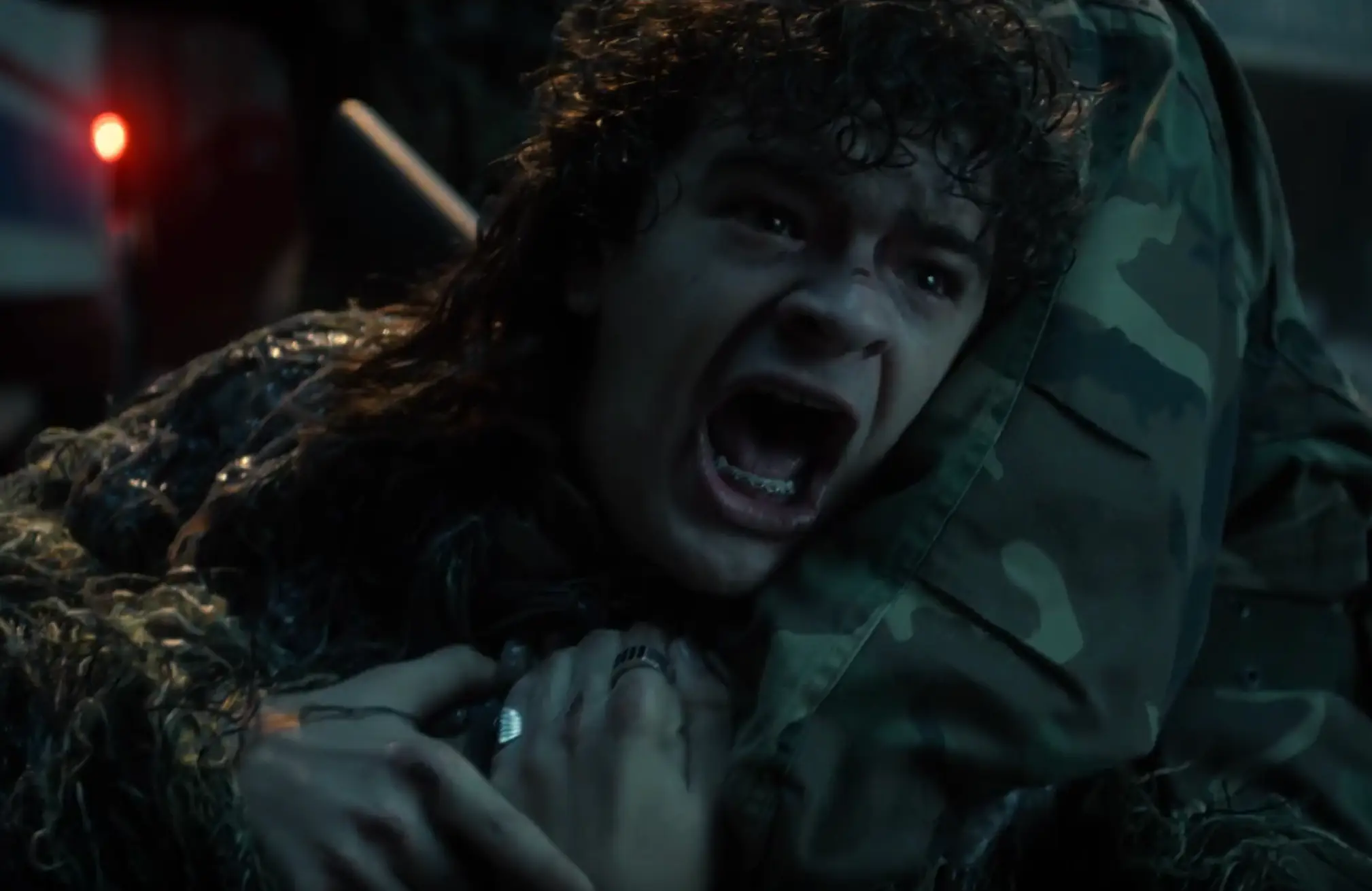 Fans are also theorising that Steve is a goner, but they've done that since season two (Netflix)