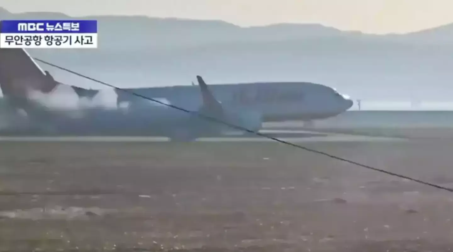 Aviation experts have been sharing their thoughts on the incident (X)