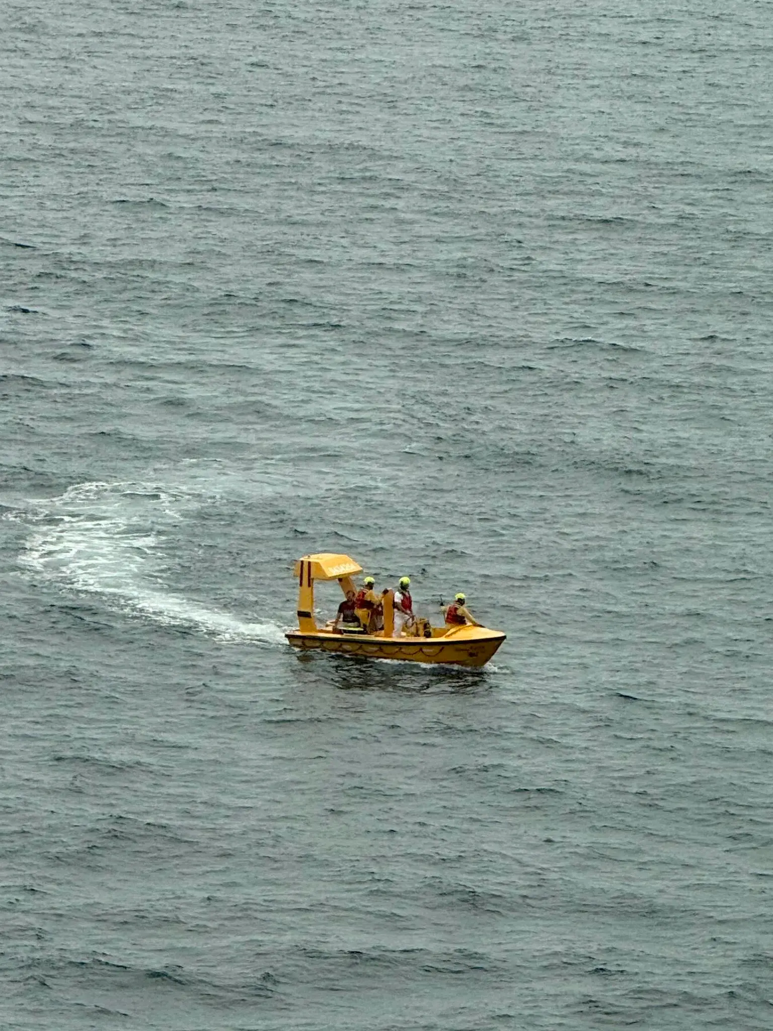 A rescue team set off quickly to fish both passengers out of the sea and get them back on board the ship (Facebook/DeWayne Smith)