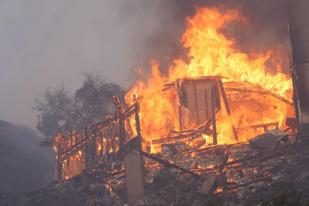 A fire in in Mandeville Canyon, Los Angeles ( Lokman Vural Elibol/Anadolu via Getty Images)