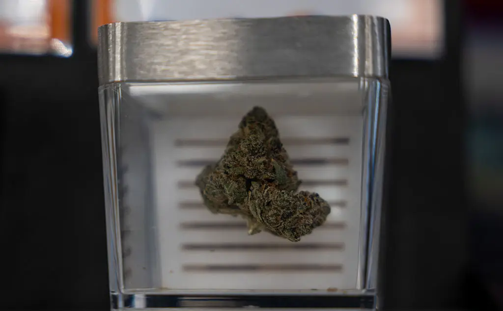 The US has taken a step towards recognising the uses of medical marijuana (Spencer Platt/Getty Images)