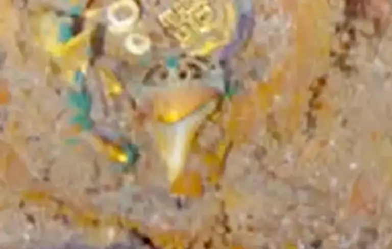 The necklace has not been removed from the wreckage.