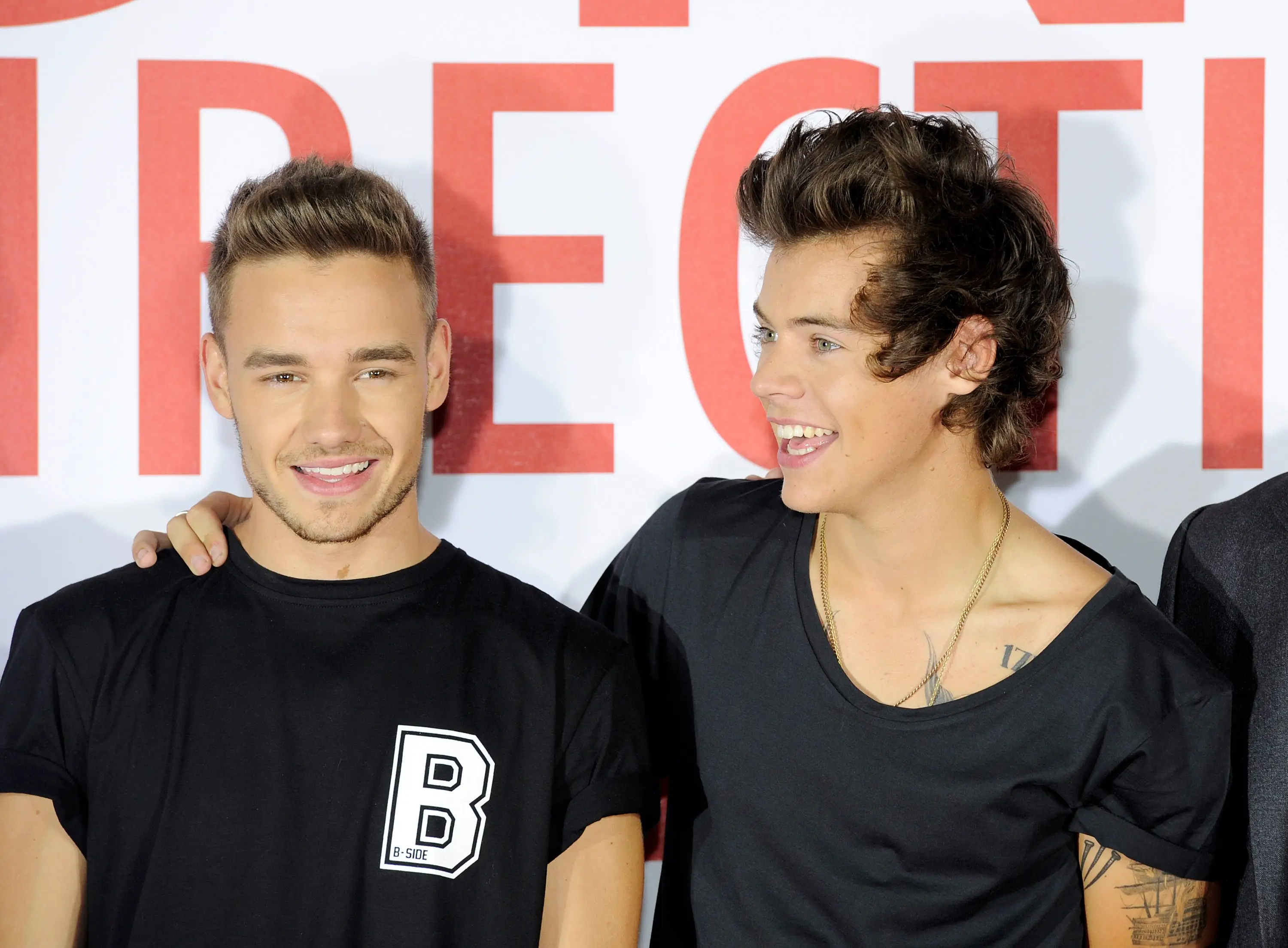 Harry Styles has issued a tribute to Liam Payne (Dave M. Benett/WireImage)