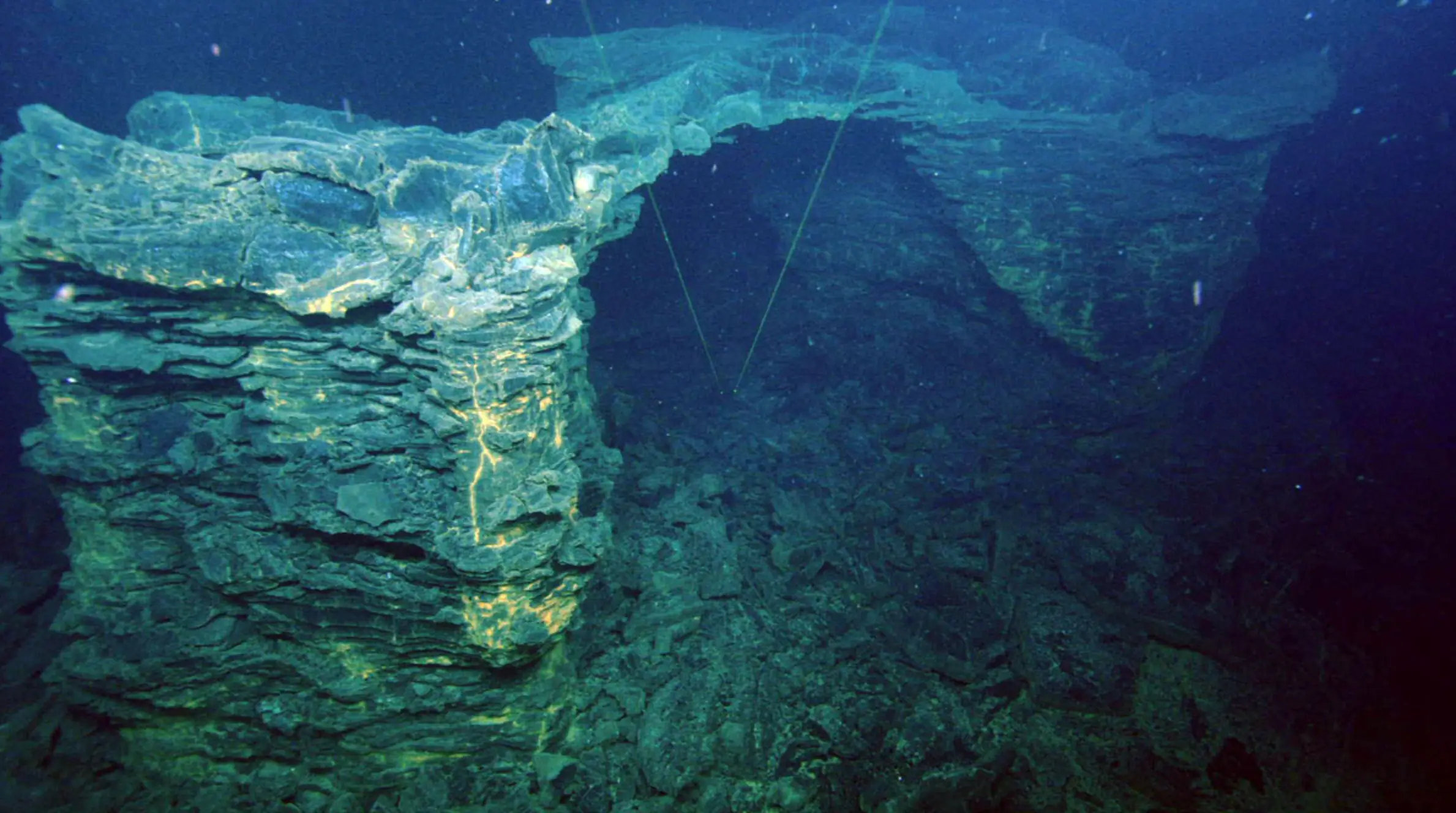 There is a low chance of the eruption affecting humans (University of Washington/OOI Regional Cabled Array)